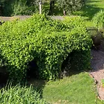 Apartmán Yvette's Lugau