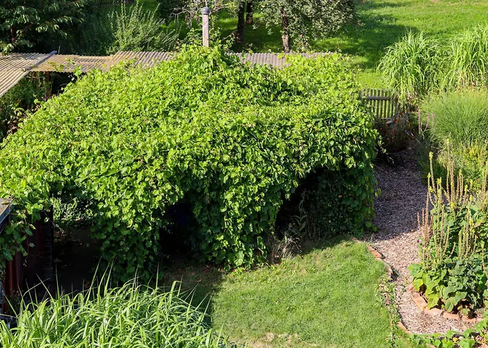 Yvette's Апартаменты Lugau