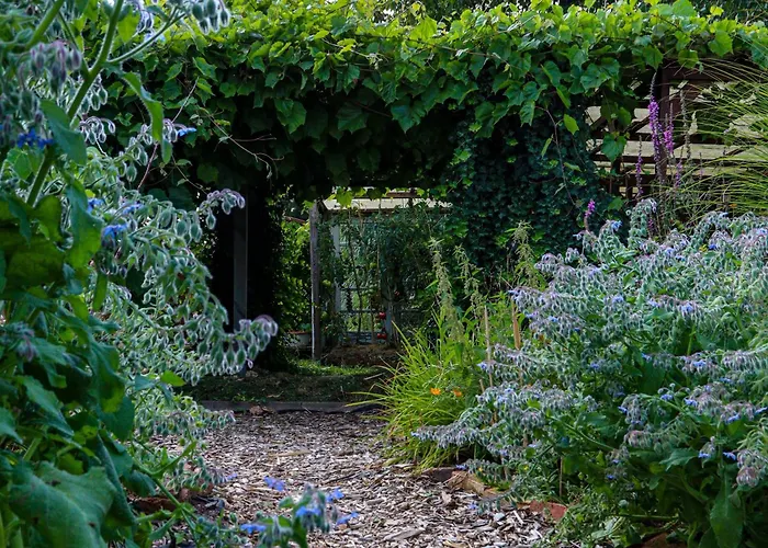 Yvette's Апартаменты